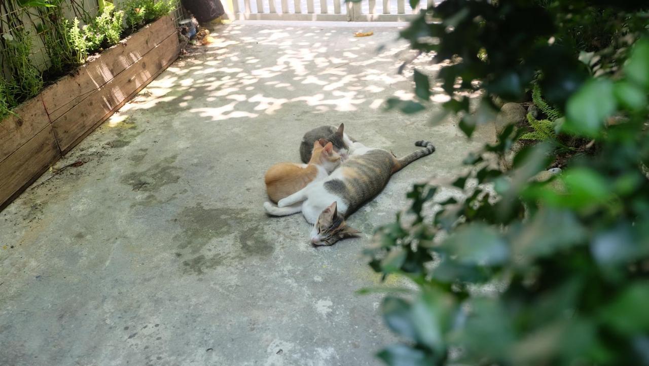 Nha Homestay Da Nang Eksteriør bilde