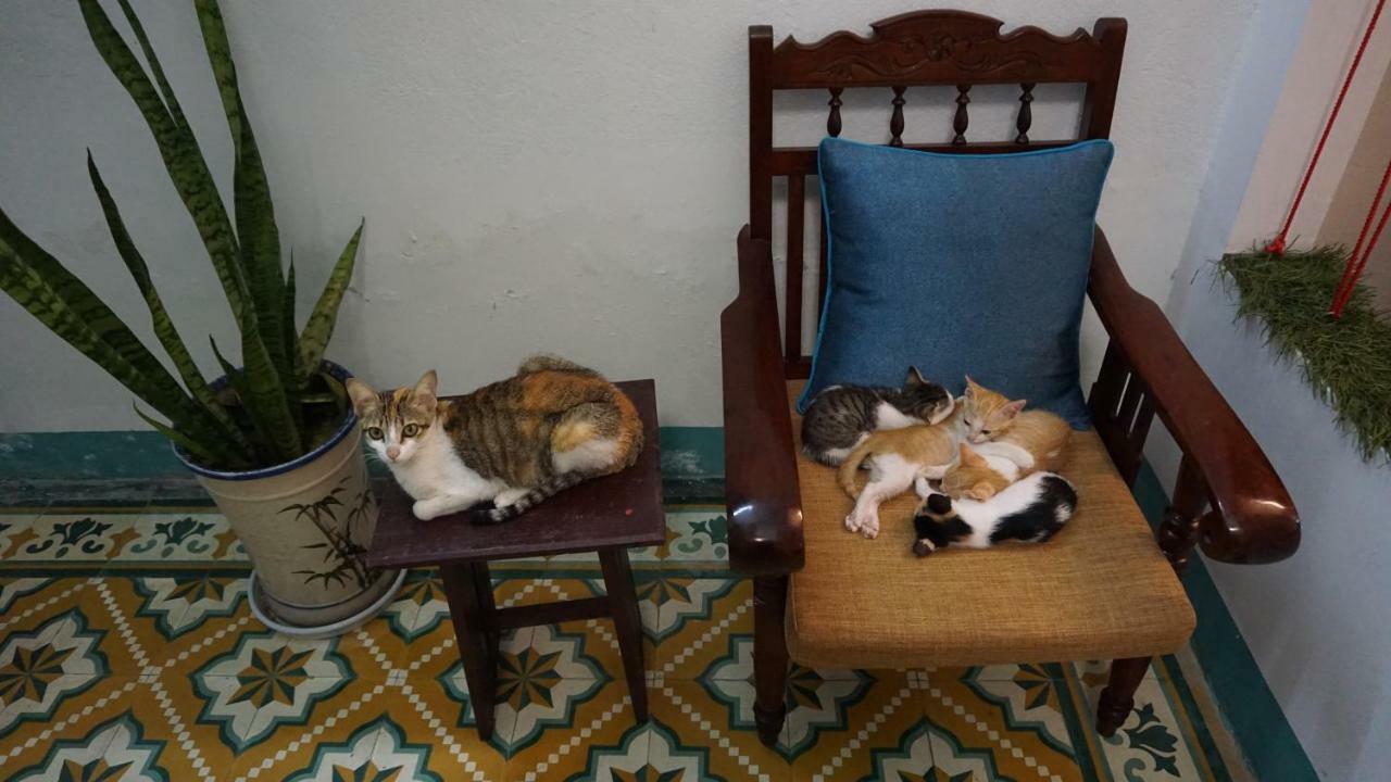 Nha Homestay Da Nang Eksteriør bilde