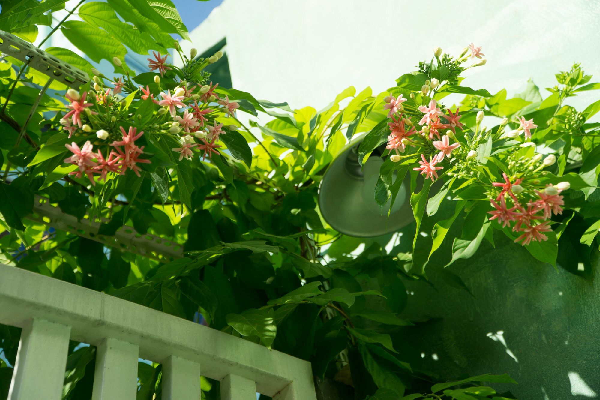 Nha Homestay Da Nang Eksteriør bilde